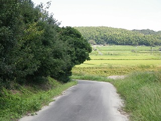 ώ@X
