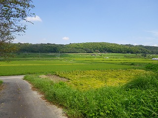 Ri