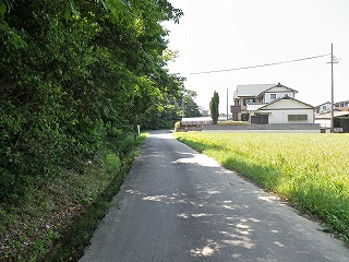 ώ@X